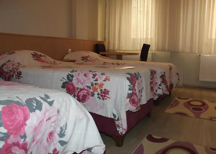 فندق Oezsefa اسطنبول