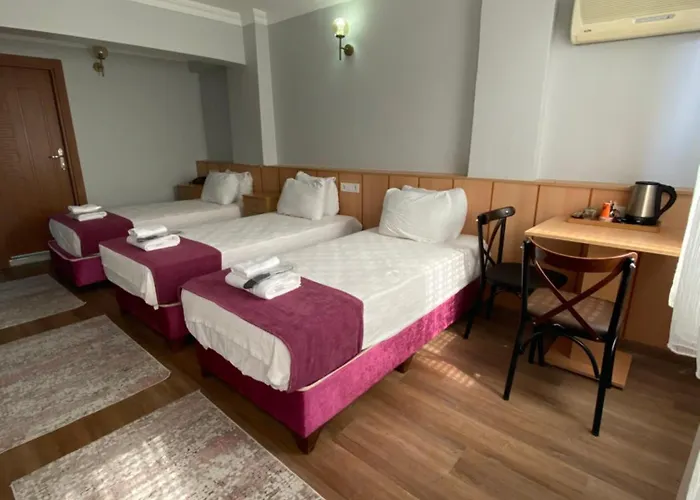 Oezsefa 3* اسطنبول